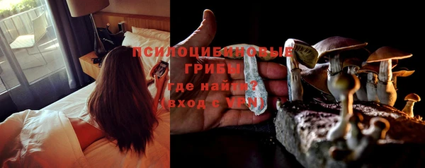 соль курить ск Горняк