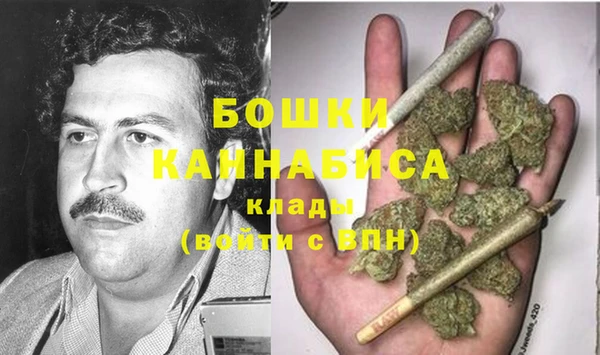 2c-b Горнозаводск