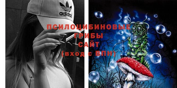 соль курить ск Горняк