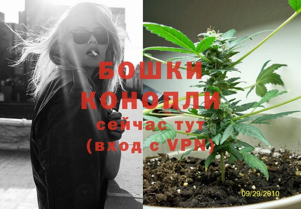 2c-b Горнозаводск