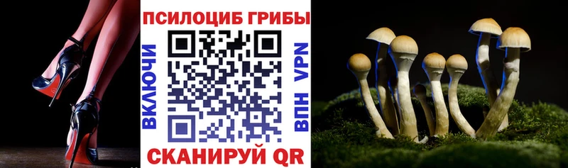 Купить закладки Великие Луки Псилоцибиновые грибы MAGIC MUSHROOMS